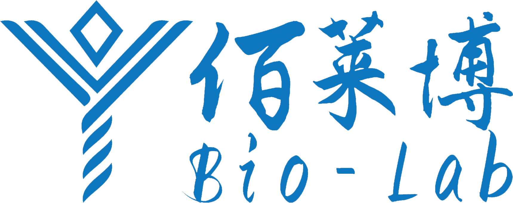 某某網絡科技有限公司